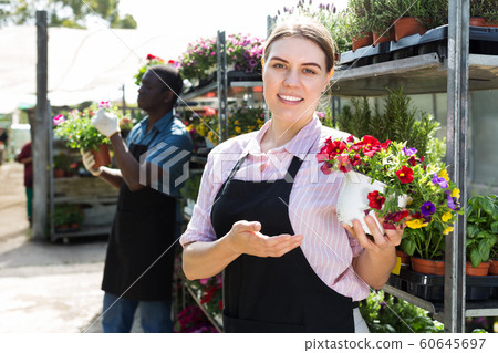Florist woman gardening in glasshouse Florist woman gardening in glasshouse 60645697