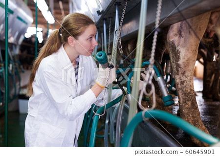 Woman working at milking line 60645901