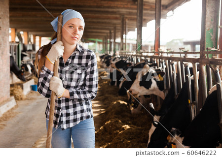 Woman working on dairy farm 60646222