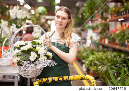 Flower market. Seller delivers potted flowers on a pushcart Flower market. Seller delivers potted flowers on a pushcart 60647736