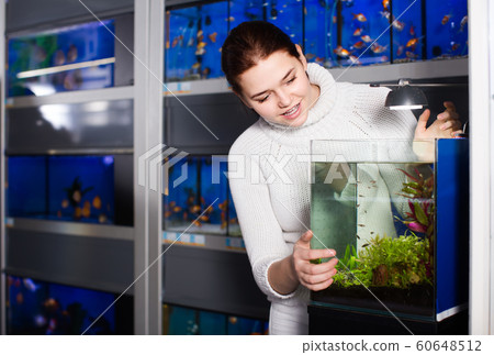 Girl with interest looking at small fry fish in aquarium with seaweed in aquarium shop Girl with interest looking at small fry fish in aquarium with seaweed in aquarium shop 60648512