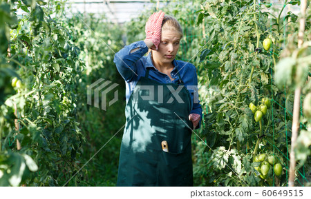 Worried woman gardener in gloves standing near tomatoes seedlings 60649515