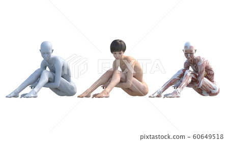 肌肉標本女性成分相同姿勢perming3DCG插圖素材 60649518
