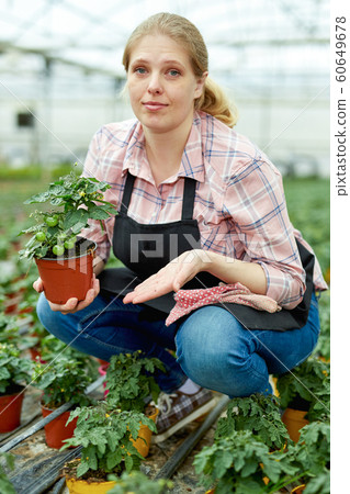 Female supervising growth of tomato seedlings 60649678