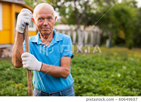 Farmer weeds potatoes with a hoe in the garden 60649687