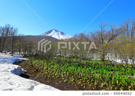 Mt. Mt. 60649892