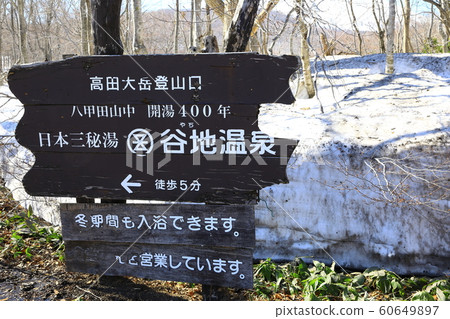 Mt. Mt. 60649897