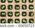 Group of green sprouts growing texture background in the nursery. 60650723