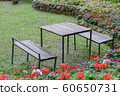 Table and chairs in the garden 60650731