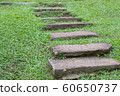 Stone stairs and grass at garden in Thailand (Selective focus) with copy space 60650737