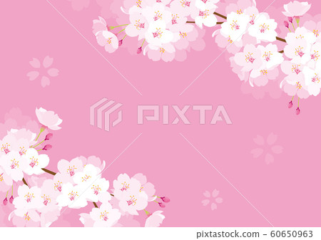櫻桃背景例證 60650963