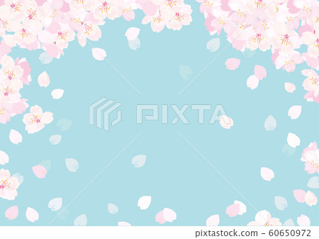 Cherry background illustration 60650972