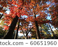 生動的風景 60651960