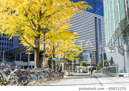 名古屋車站前城市景觀銀杏南木在名古屋大廈前 名古屋車站前城市景觀銀杏南木在名古屋大廈前 60653270