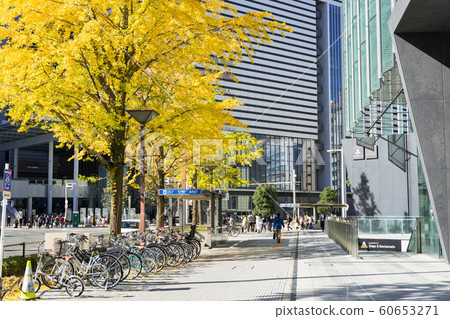 名古屋車站前城市景觀銀杏南木在名古屋大廈前 名古屋車站前城市景觀銀杏南木在名古屋大廈前 60653271