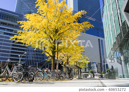 名古屋車站前城市景觀銀杏南木在名古屋大廈前 名古屋車站前城市景觀銀杏南木在名古屋大廈前 60653272
