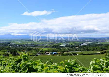 Sorachi Plain seen from the outdoor furnace Sorachi Plain seen from the outdoor furnace 60653336