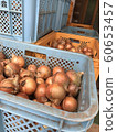 After-harvest onion 60653457