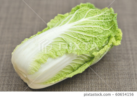 Cabbage Cabbage 60654156