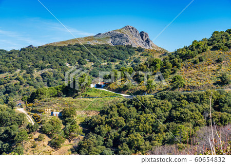 Landscape of Sierra de Grazalema natural park, Cadiz province, Andalusia, Spain. 60654832