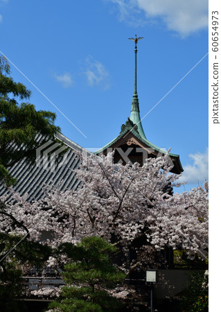 Cherry blossoms in Higashiyama, Kyoto 60654973