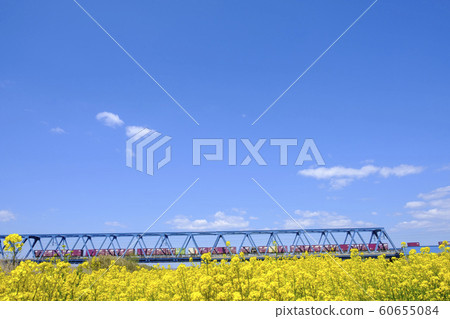 強姦，火車，火車 60655084