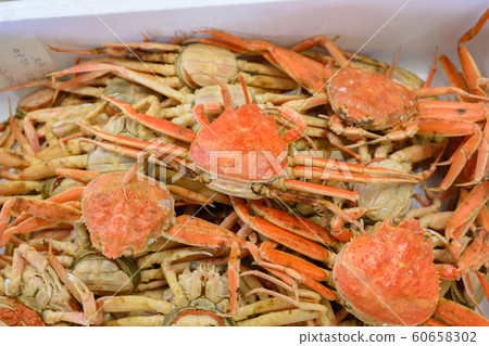 Crab, fresh, freshly picked, snow crab 60658302
