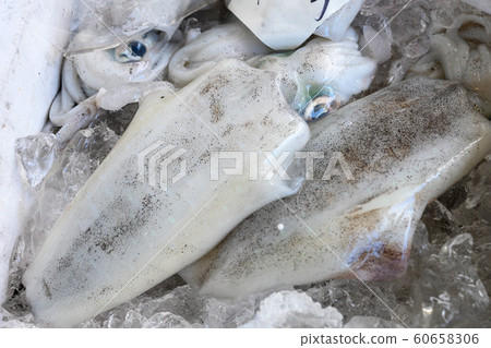 天然,新鮮,新鮮採摘的魷魚 天然,新鮮,新鮮採摘的魷魚 60658306
