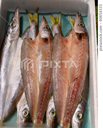 Barracuda, opening, drying overnight Barracuda, opening, drying overnight 60658333