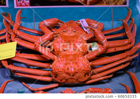 Crab, fresh, freshly picked, snow crab Crab, fresh, freshly picked, snow crab 60658335
