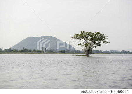 CAMBODIA BATTAMBANG KAMPING POUY LAKE 60660015