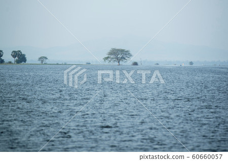 CAMBODIA BATTAMBANG KAMPING POUY LAKE CAMBODIA BATTAMBANG KAMPING POUY LAKE 60660057