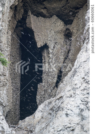 CAMBODIA BATTAMBANG BATH CAVE CAMBODIA BATTAMBANG BATH CAVE 60660061