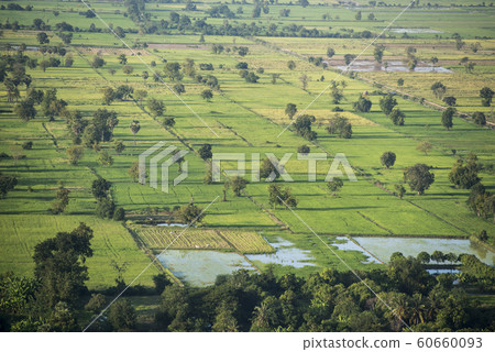 CAMBODIA BATTAMBANG PHNOM SAMPEAU 60660093