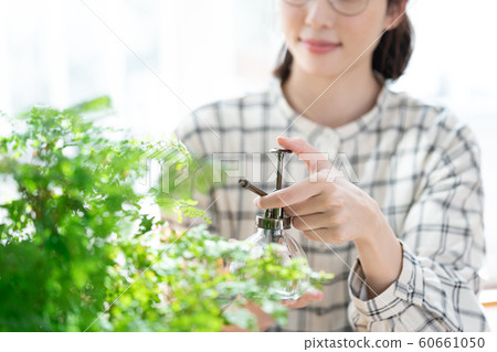 Female plant lifestyle 60661050