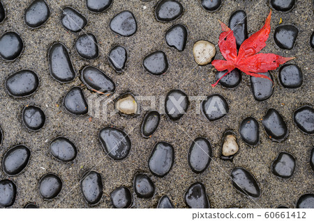 烤（秋天） 60661412