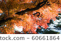 秋葉雪葉子 60661864