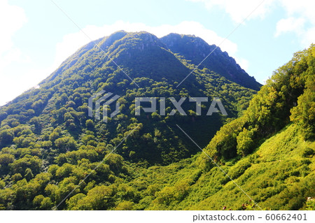 妙高山路通往山頂 妙高山路通往山頂 60662401