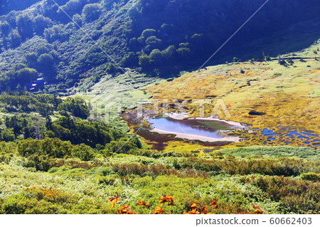 通往山頂的黑山池和黑澤池Hutte的妙高山路 通往山頂的黑山池和黑澤池Hutte的妙高山路 60662403