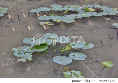 figure of  Inequality and social class. Income 60662578