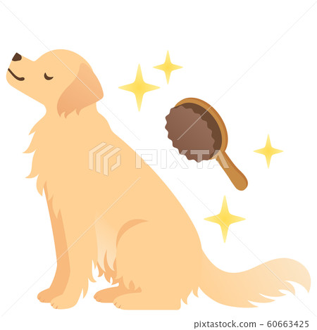 狗和刷子的插圖 狗和刷子的插圖 60663425