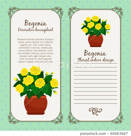 Vintage label with begonia plant 60663667