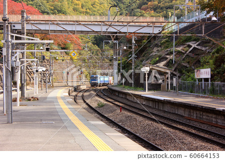 Freight train (1) entering Chuo Main Line Kai Yamato Station Line 2 home 60664153