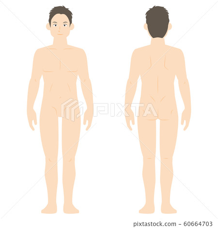 標準身材的男士（裸） 60664703