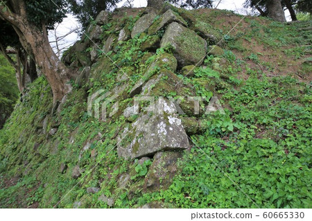 臼杵城堡 60665330