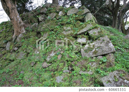 臼杵城堡 臼杵城堡 60665331