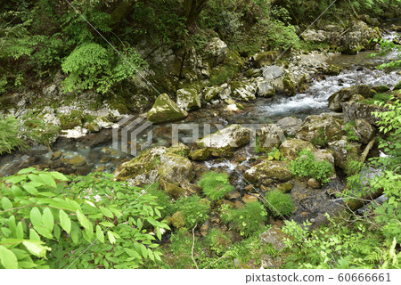 [Gifu Prefecture] Enbara River 60666661