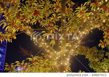 Busan Dadaepo Beach Christmas Light Festival Busan Dadaepo Beach Christmas Light Festival 60667022