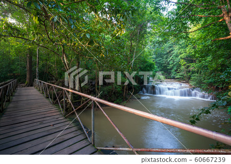 Waterfalls In Deep Forest 60667239