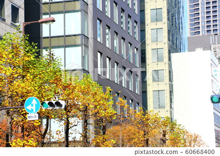 Autumn street trees in Osaka 60668400